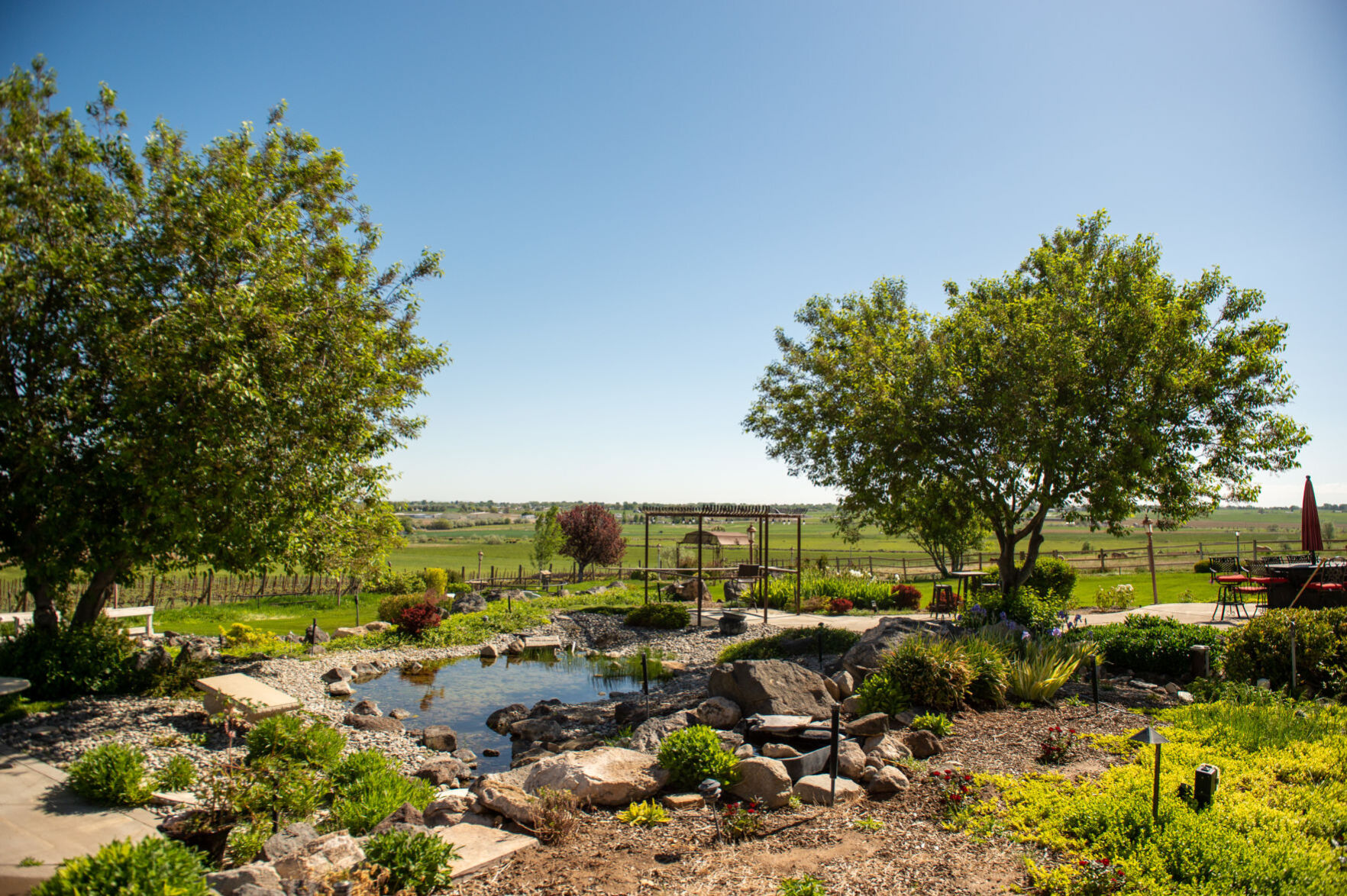 Chateau DNA Vineyard and Winery comes to life